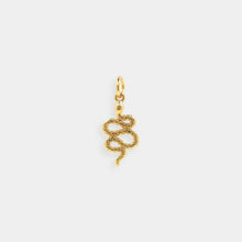 Load image into Gallery viewer, Delicate Snake Charm