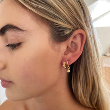 Load image into Gallery viewer, Tiny Protea Huggie