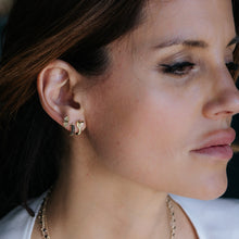 Load image into Gallery viewer, Small Cobra huggie