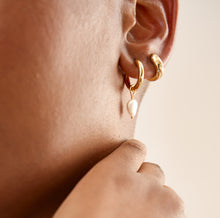 Load image into Gallery viewer, Pearl Hoop Medium