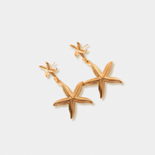 Load image into Gallery viewer, Sea Star Dangles